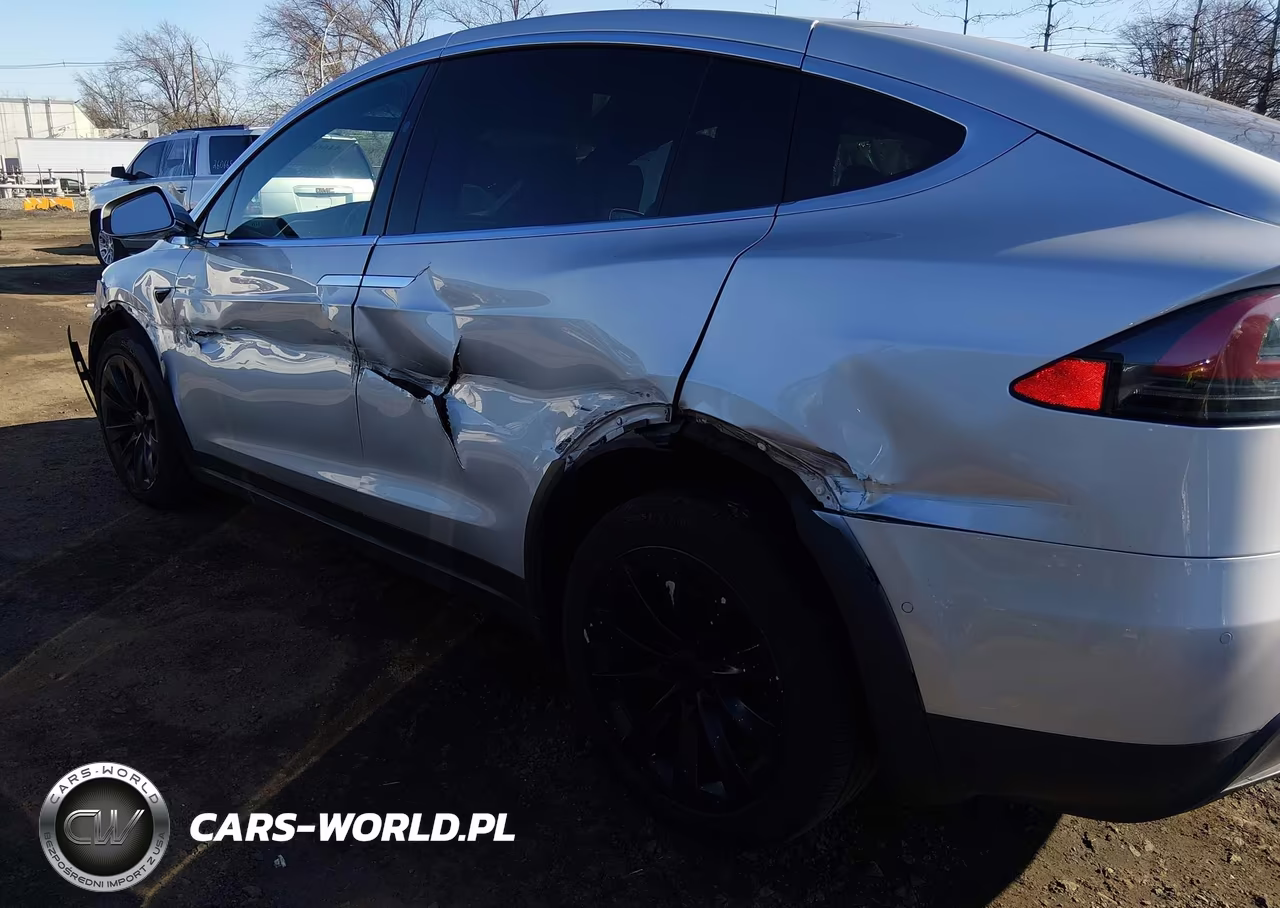 2017 Tesla Model X 100D-75D-90D VIN:5YJXCAE21HF075079 - 6