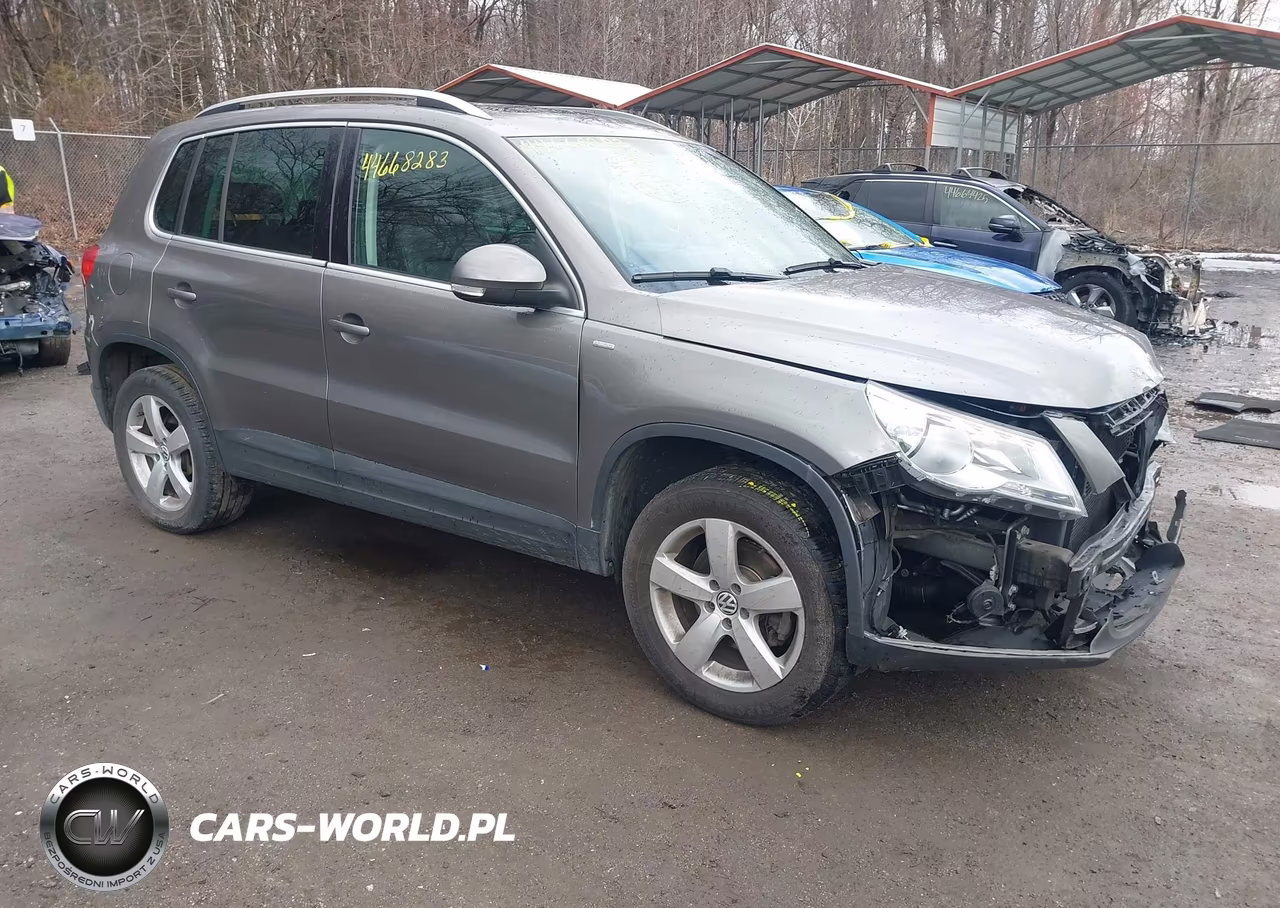 2010 Volkswagen Tiguan Wolfsburg Edition