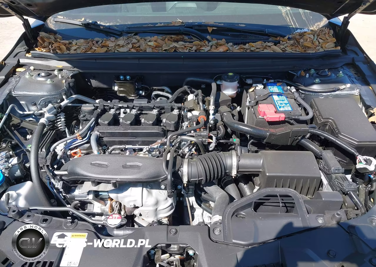2025 Honda Accord Lx VIN:1HGCY1F28SA088590 - 10