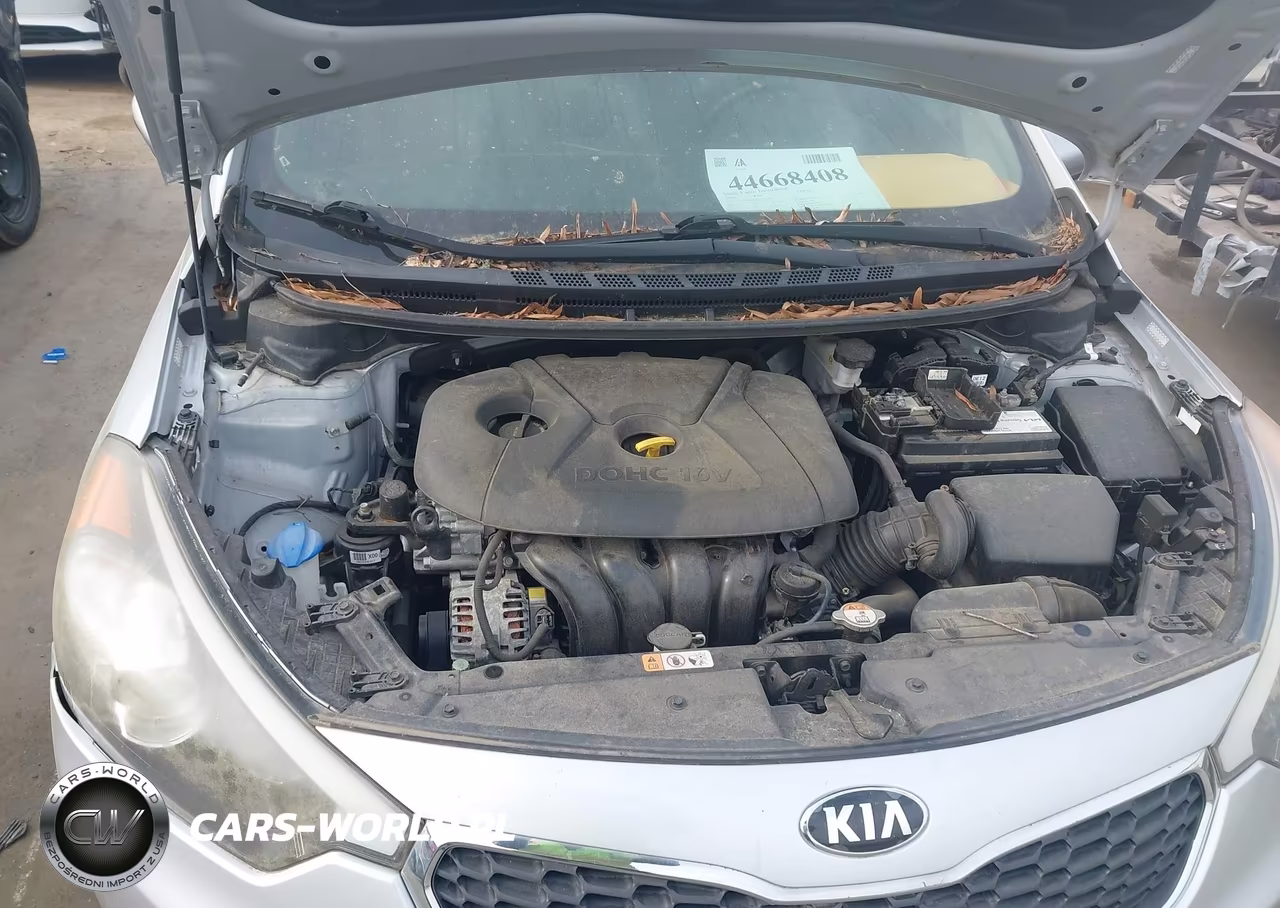 2016 Kia Forte Lx VIN:KNAFX4A68G5564392 - 10