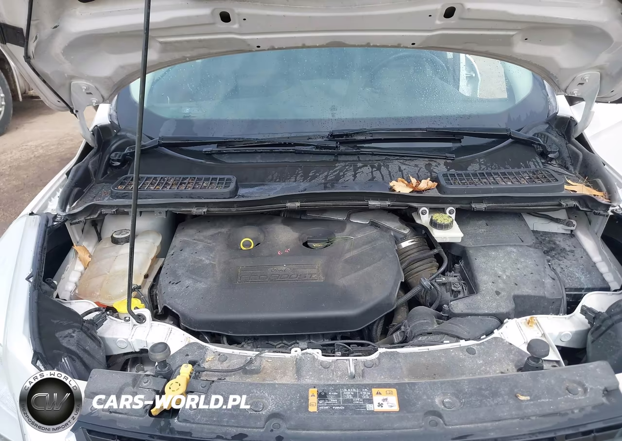 2013 Ford Escape Sel VIN:1FMCU9H9XDUA87604 - 10