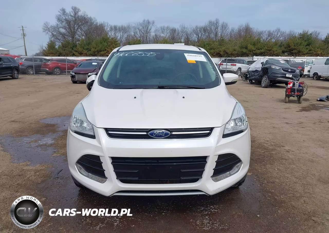 2013 Ford Escape Sel VIN:1FMCU9H9XDUA87604 - 12