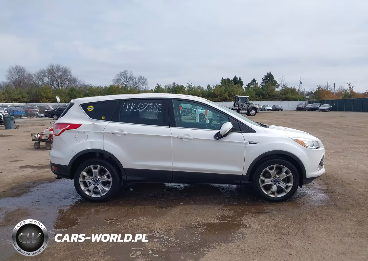 2013 Ford Escape Sel VIN:1FMCU9H9XDUA87604 - 13
