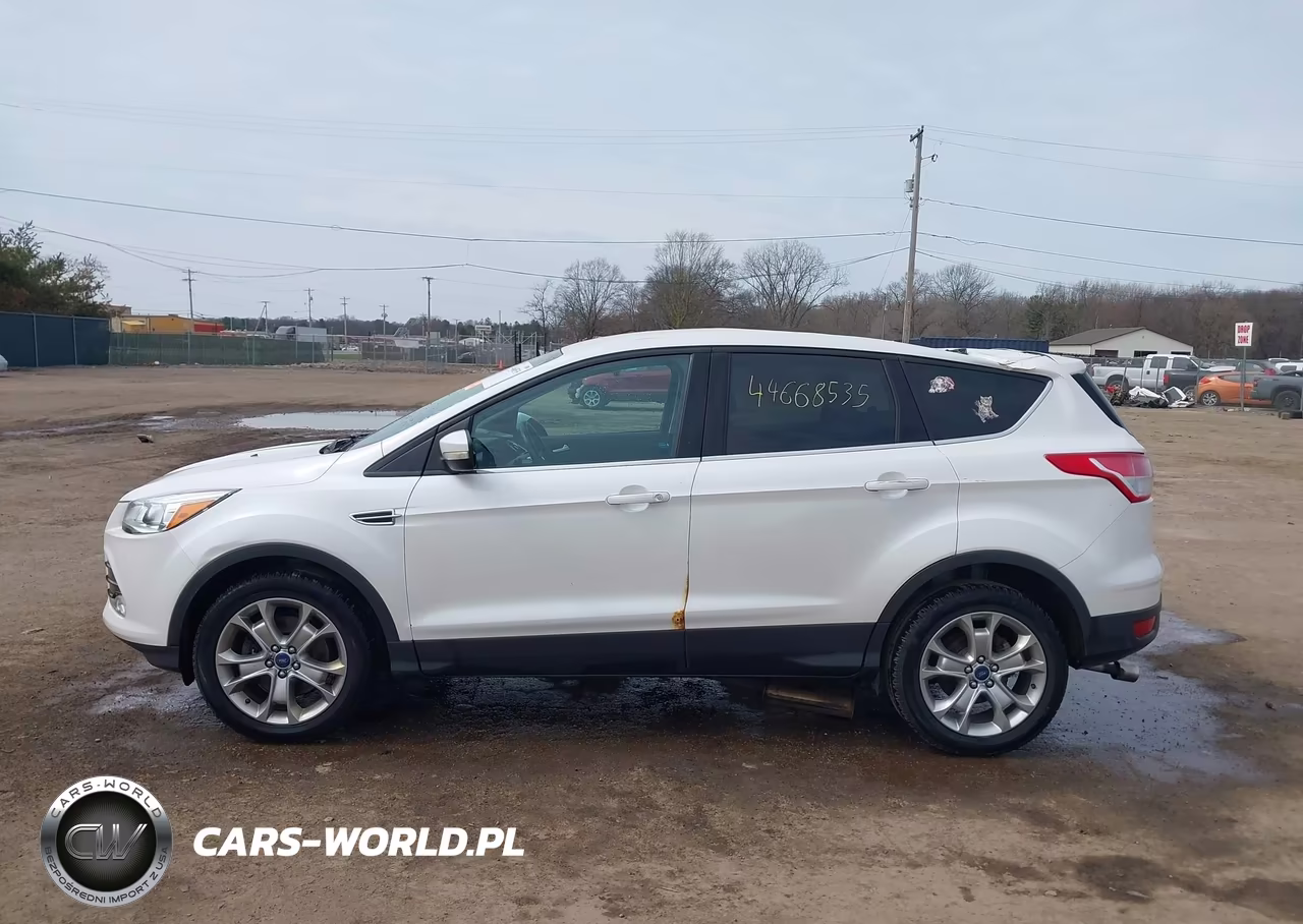 2013 Ford Escape Sel VIN:1FMCU9H9XDUA87604 - 14