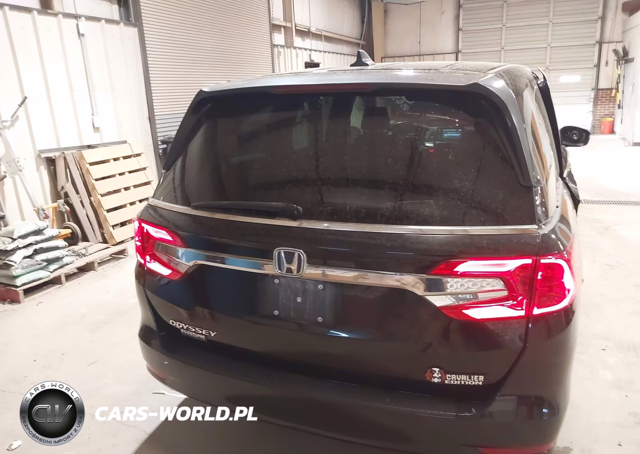 2020 Honda Odyssey Ex-L-Ex-L W-Navi Res VIN:5FNRL6H74LB073574 - 16