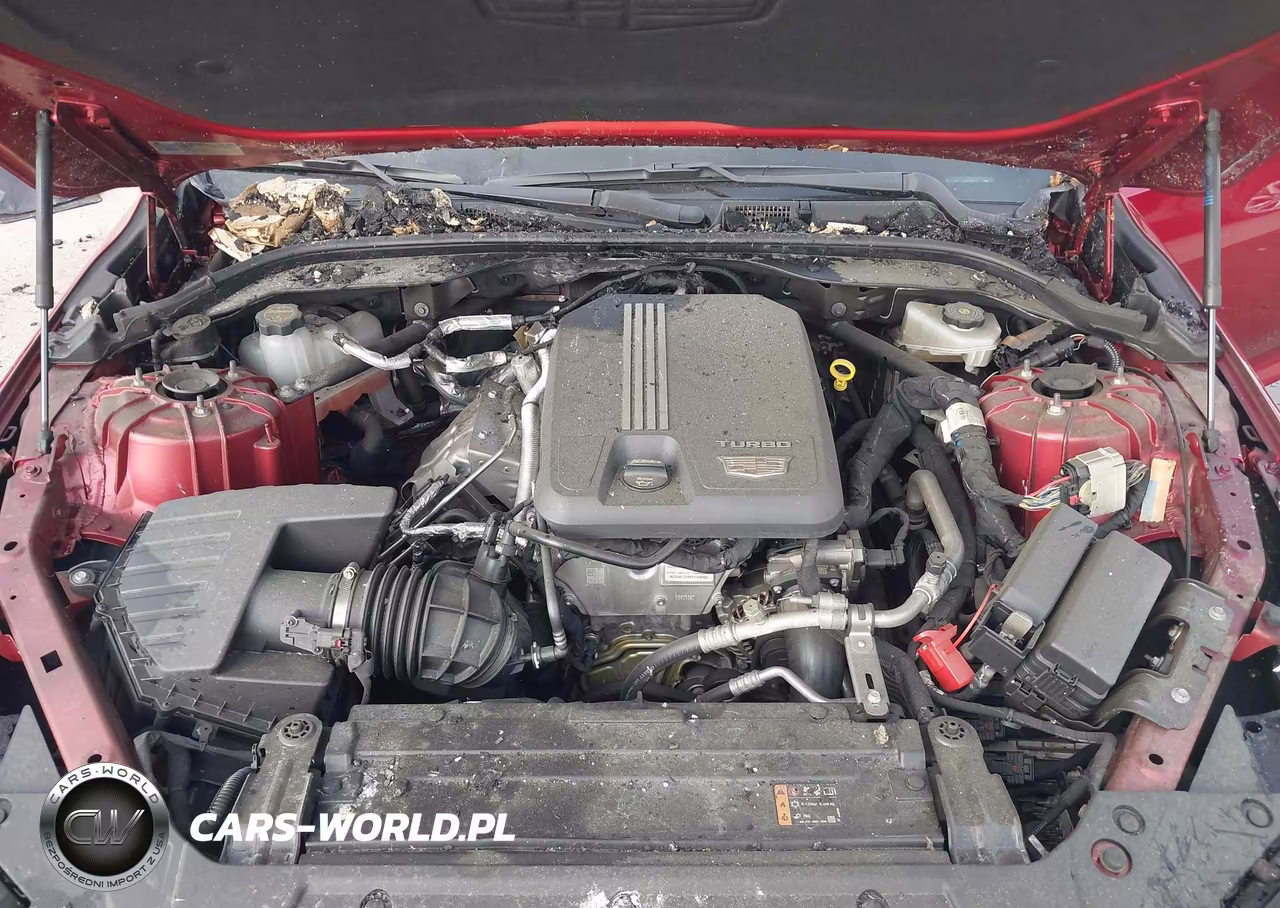 2025 Cadillac Ct5 Premium Luxury Rwd VIN:1G6DN5RK0S0116583 - 10