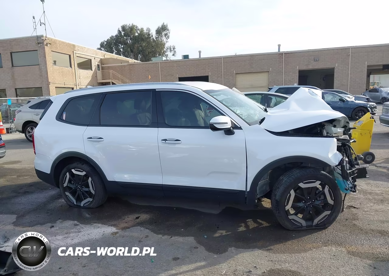 2023 Kia Telluride S VIN:5XYP6DGC5PG393454 - 13