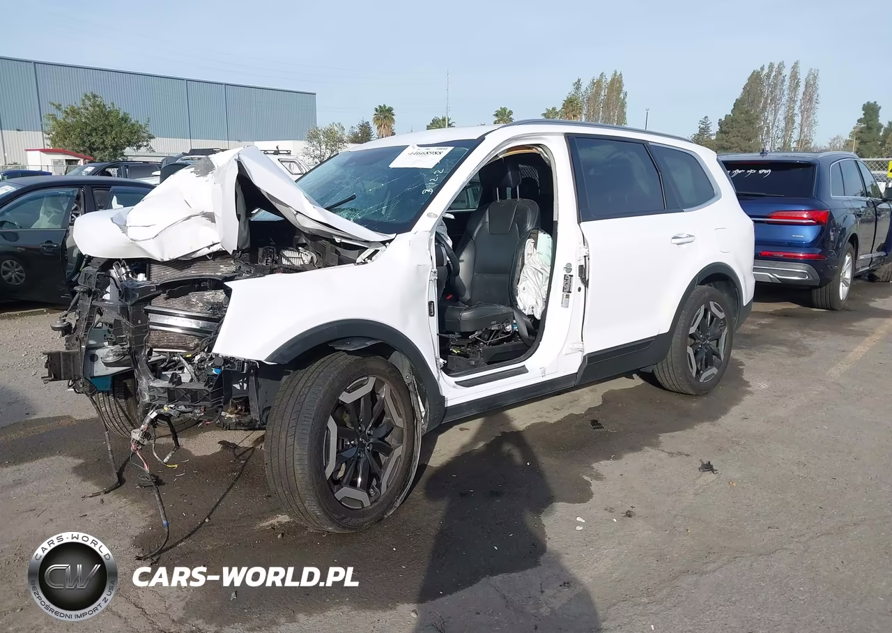 2023 Kia Telluride S VIN:5XYP6DGC5PG393454 - 2
