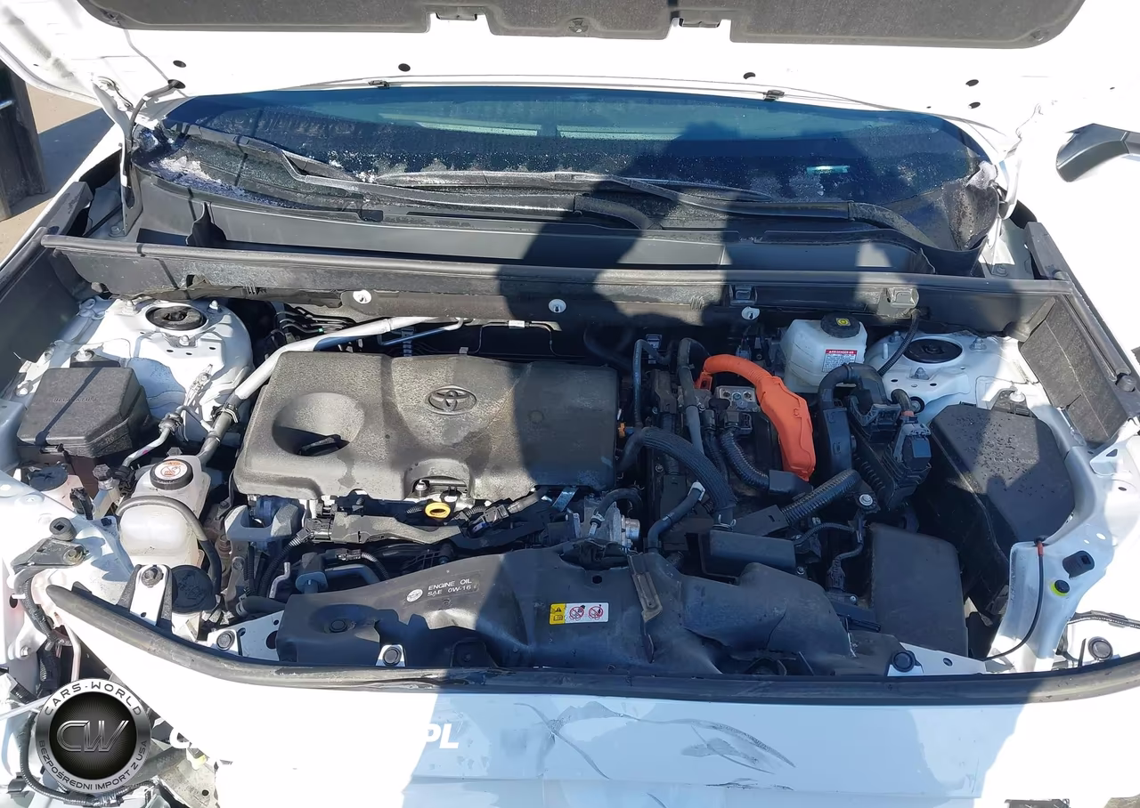 2024 Toyota Rav4 Hybrid Xle VIN:4T3RWRFV7RU144621 - 10