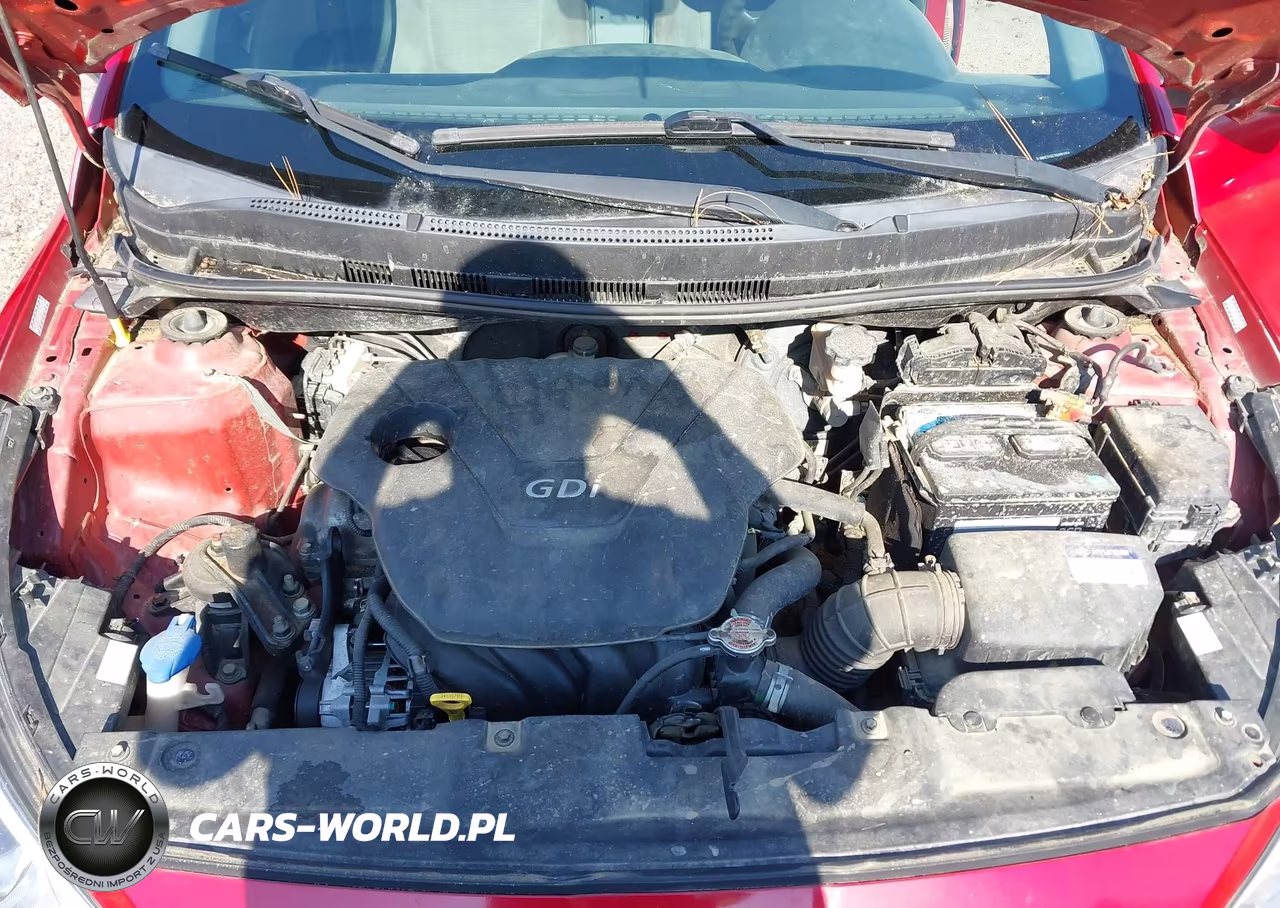 2016 Hyundai Accent Se VIN:KMHCT4AE7GU991024 - 10