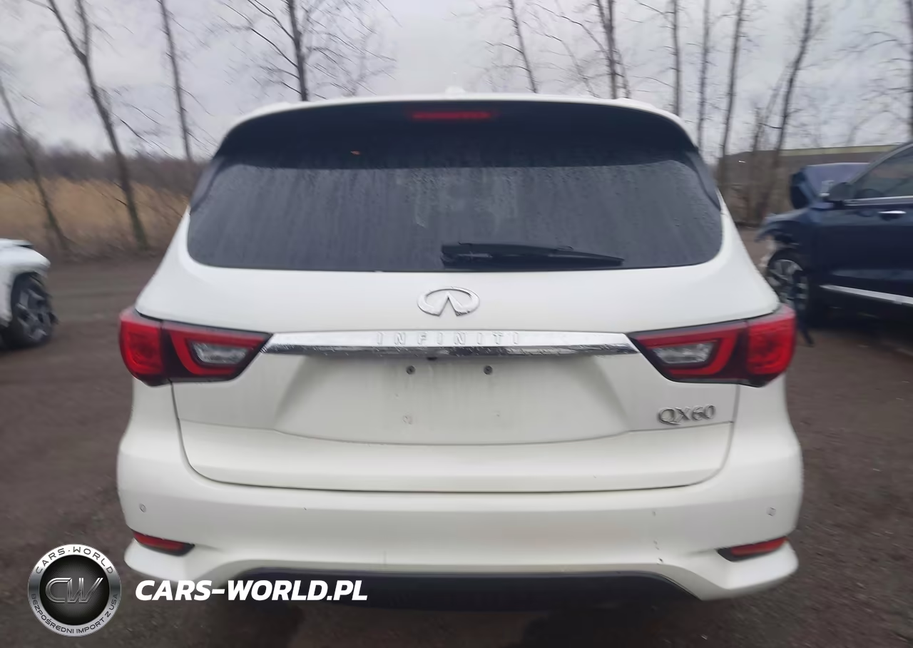 2019 Infiniti Qx60 Luxe VIN:5N1DL0MM1KC506620 - 16