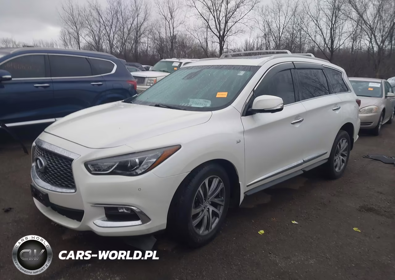 2019 Infiniti Qx60 Luxe VIN:5N1DL0MM1KC506620 - 2