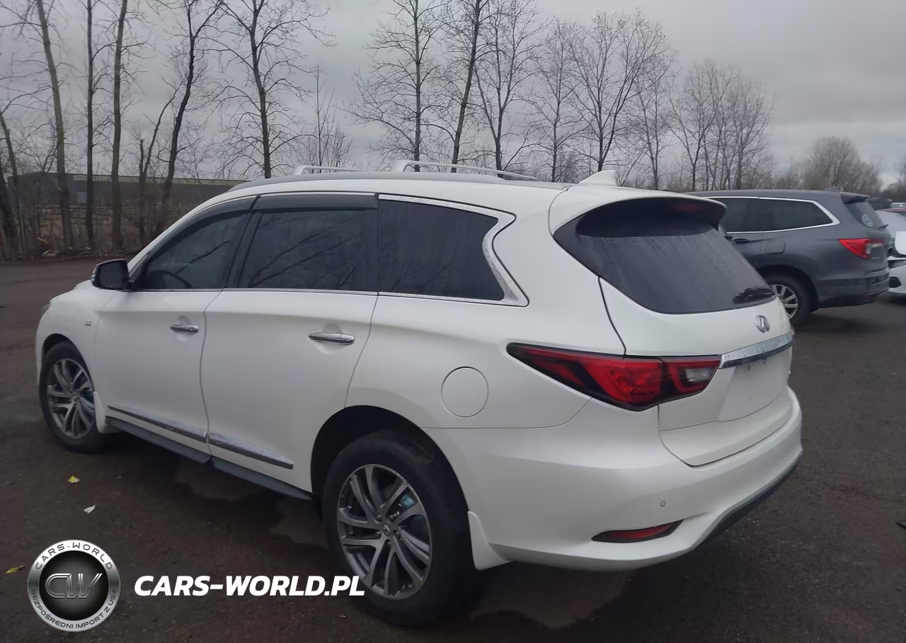2019 Infiniti Qx60 Luxe VIN:5N1DL0MM1KC506620 - 3