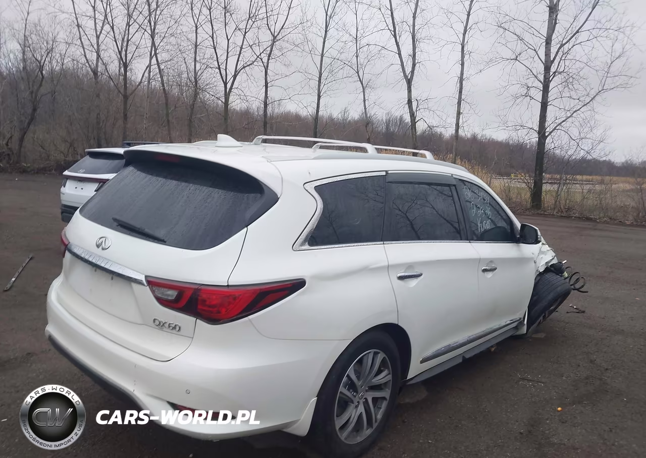 2019 Infiniti Qx60 Luxe VIN:5N1DL0MM1KC506620 - 4