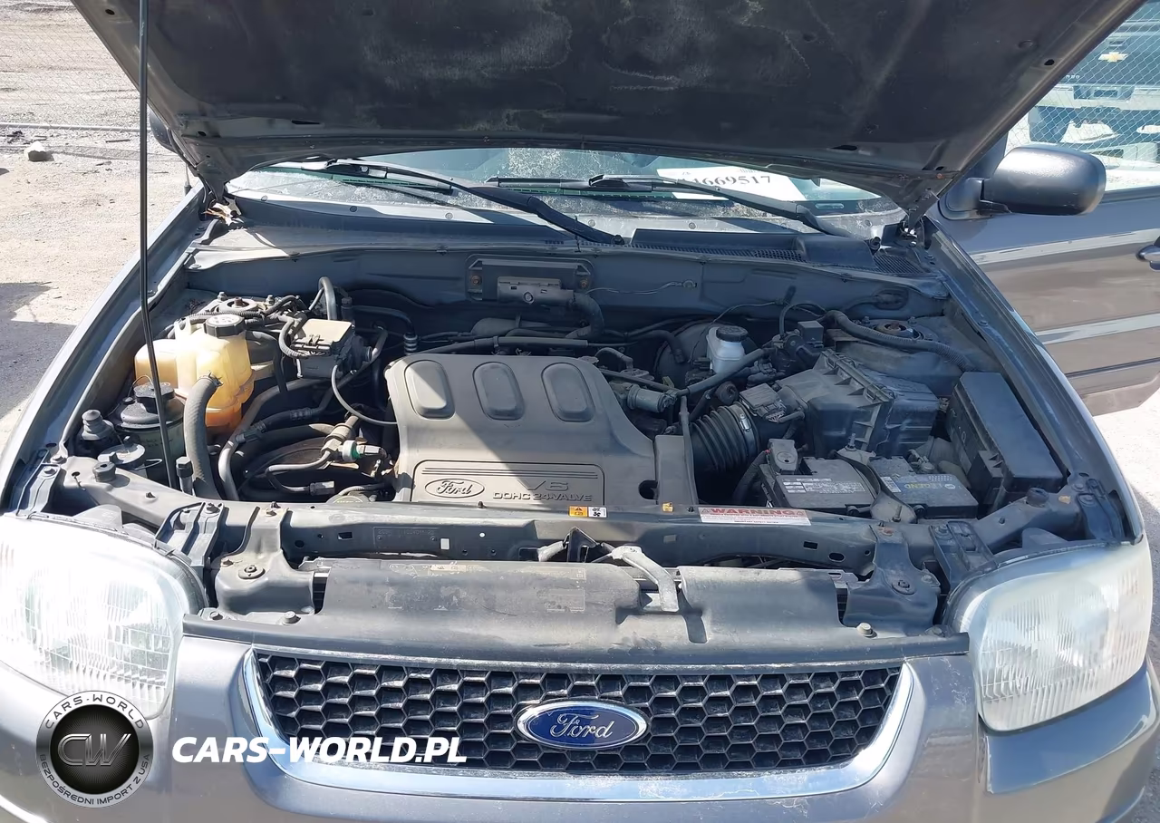 2003 Ford Escape Limited VIN:1FMCU941X3KD98721 - 10