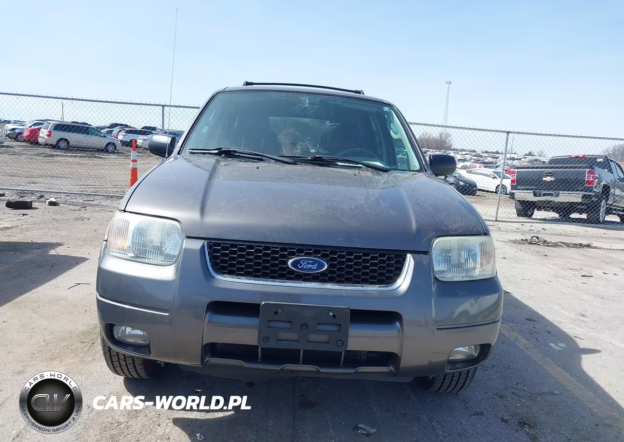 2003 Ford Escape Limited VIN:1FMCU941X3KD98721 - 6