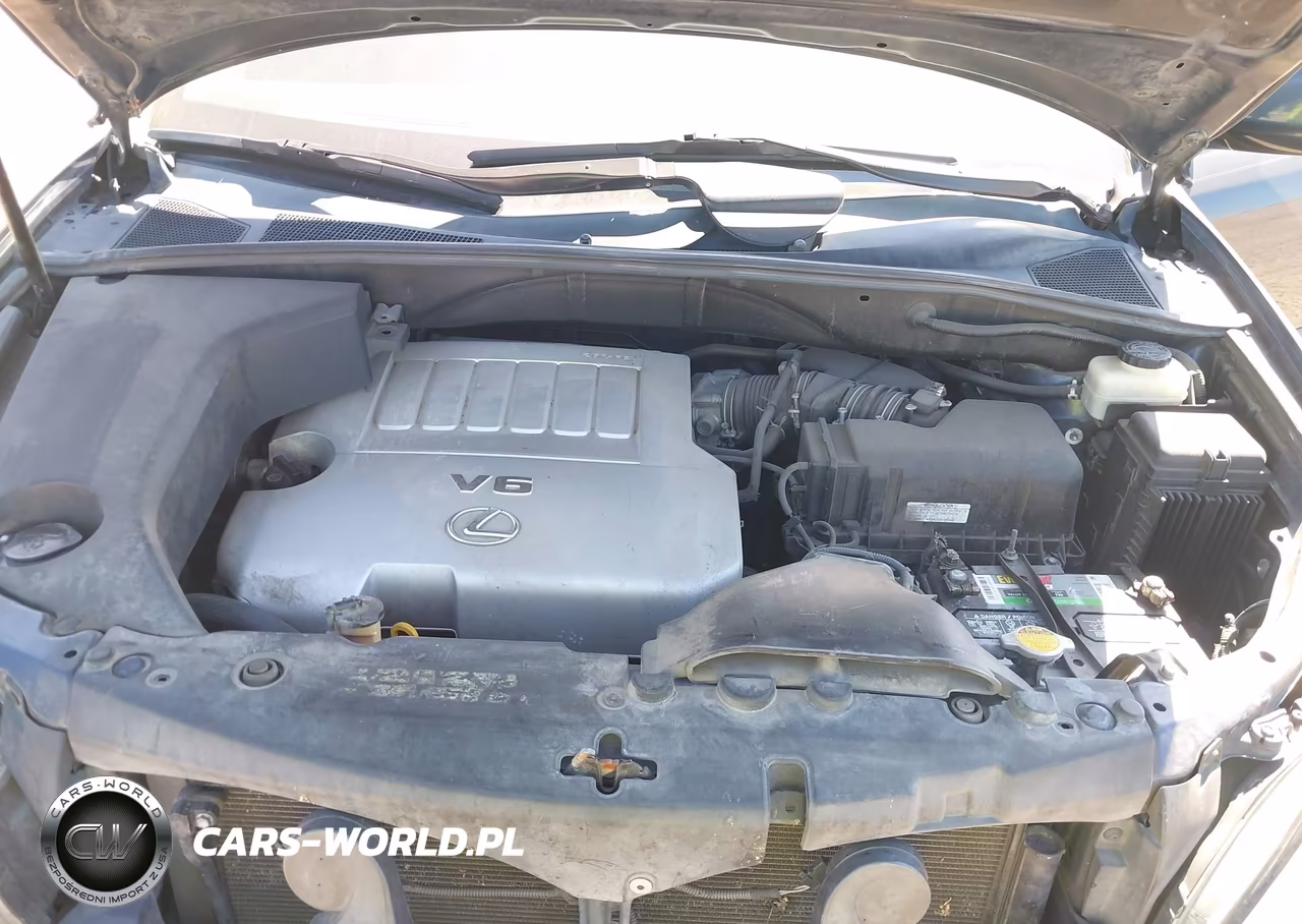 2007 Lexus Rx 350 VIN:2T2GK31U67C025590 - 10