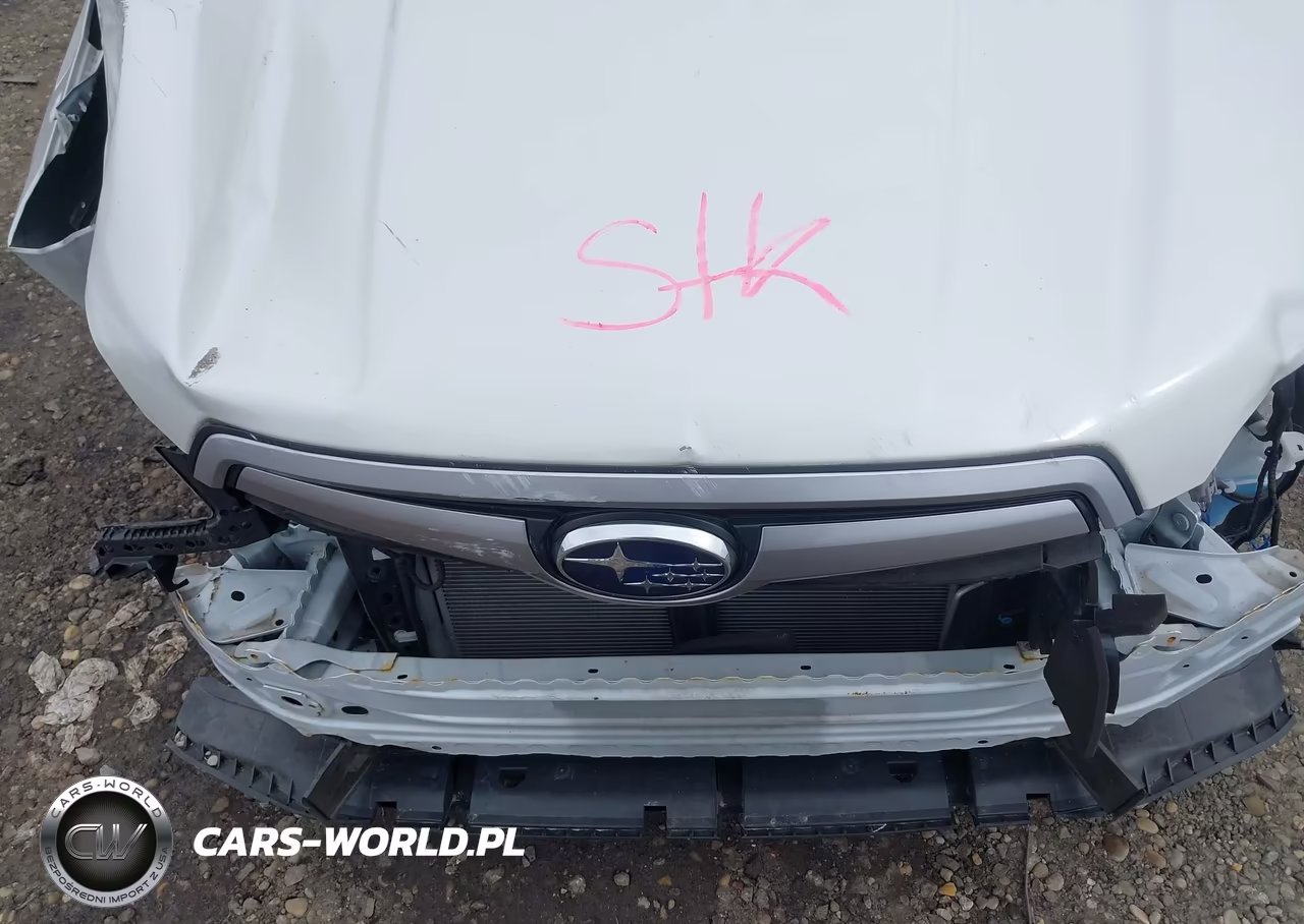 2019 Subaru Forester Premium VIN:JF2SKAEC7KH442159 - 10