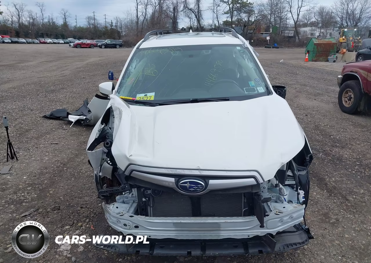 2019 Subaru Forester Premium VIN:JF2SKAEC7KH442159 - 12