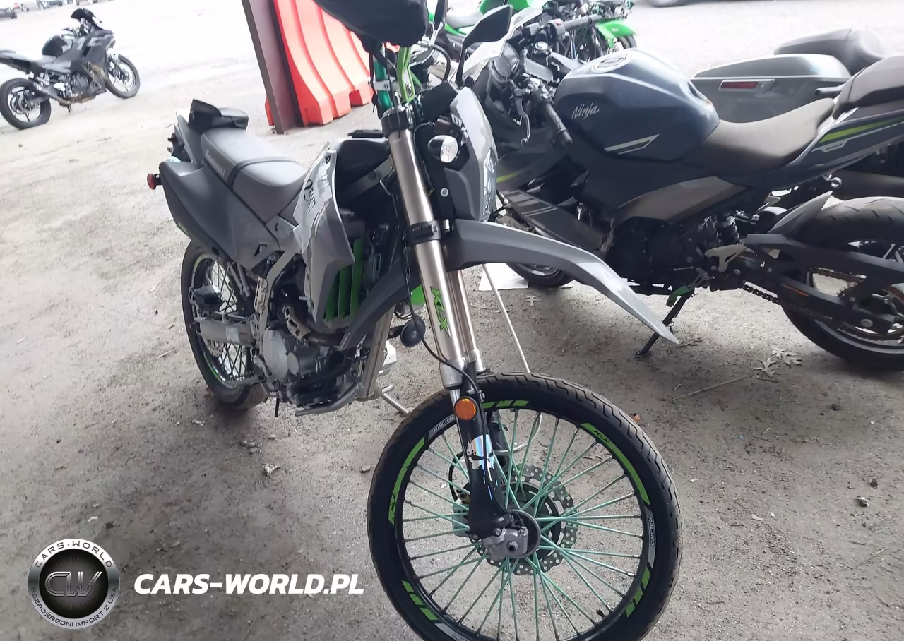 2024 Kawasaki Klx300 F