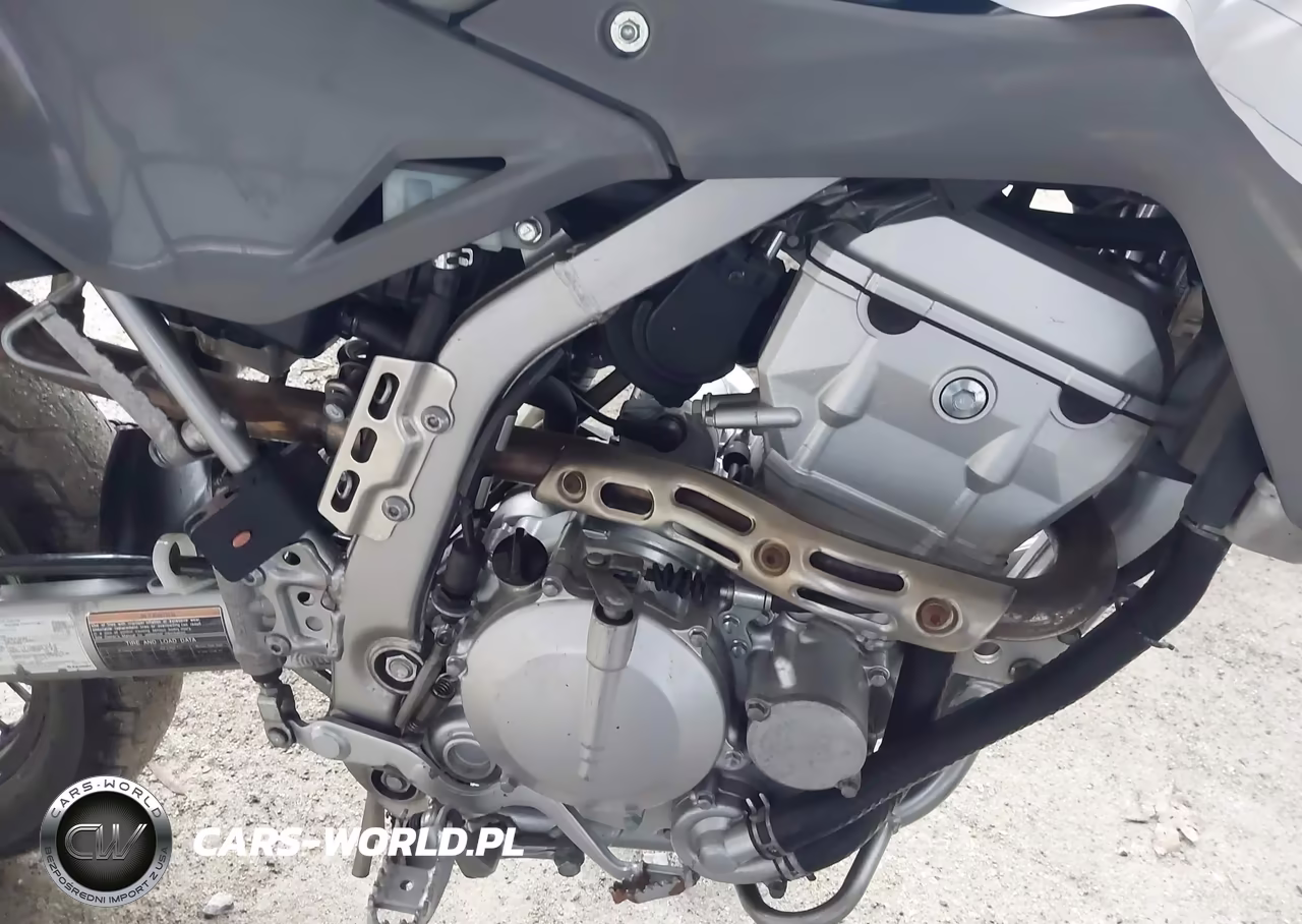 2024 Kawasaki Klx300 F VIN:ML5LXBF13RDA33761 - 8