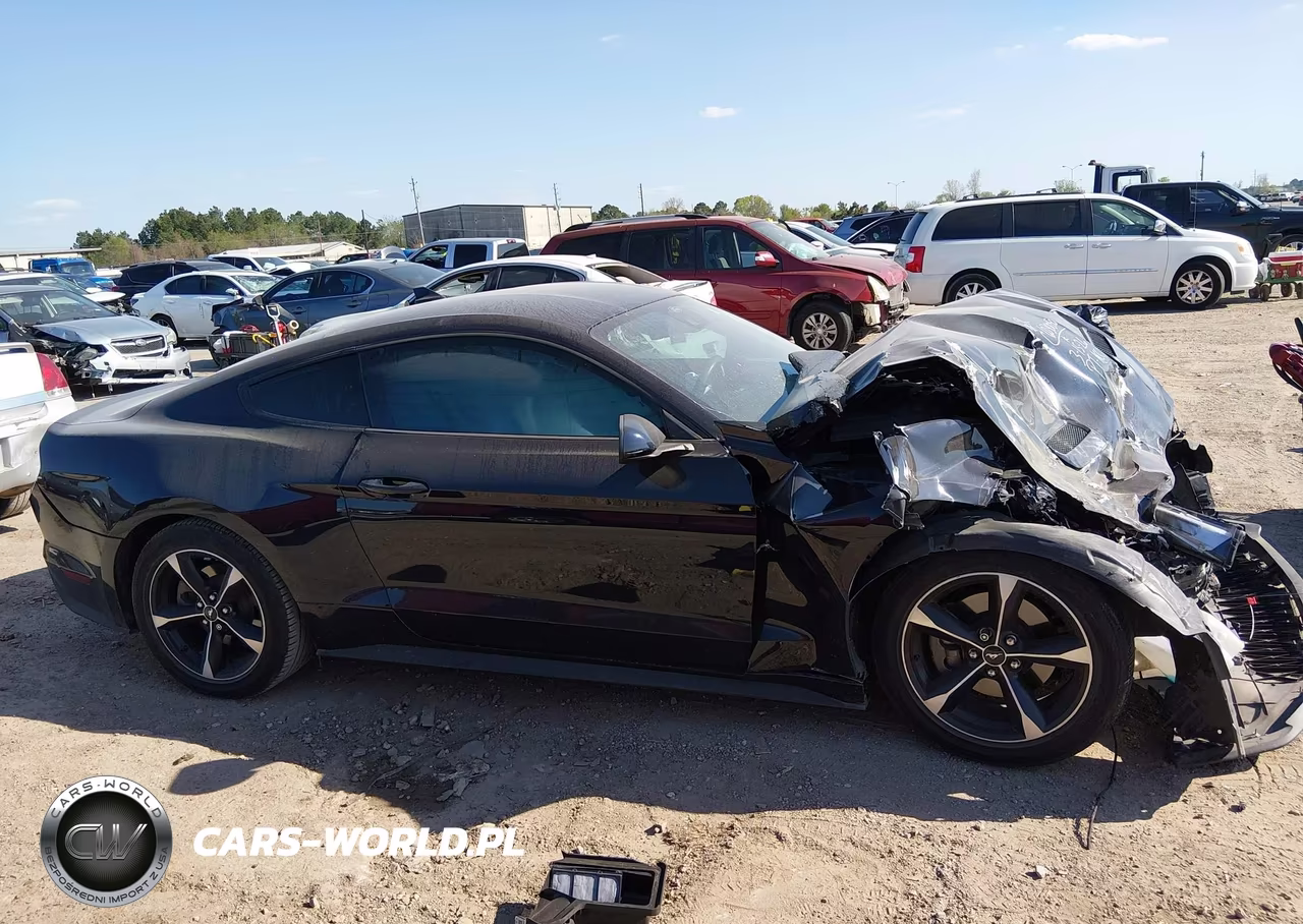 2021 Ford Mustang Ecoboost Fastback VIN:1FA6P8TH6M5127307 - 13