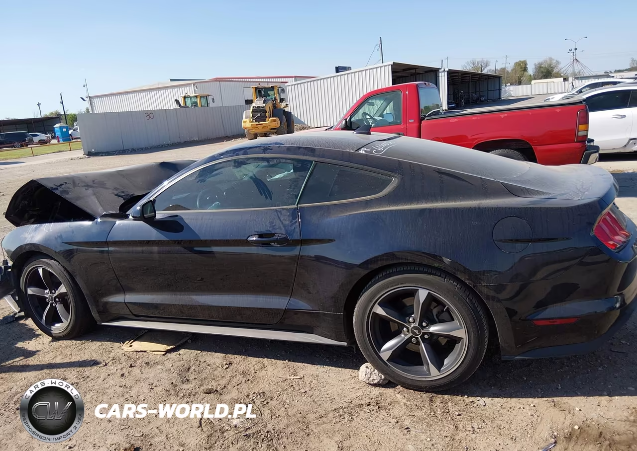 2021 Ford Mustang Ecoboost Fastback VIN:1FA6P8TH6M5127307 - 14