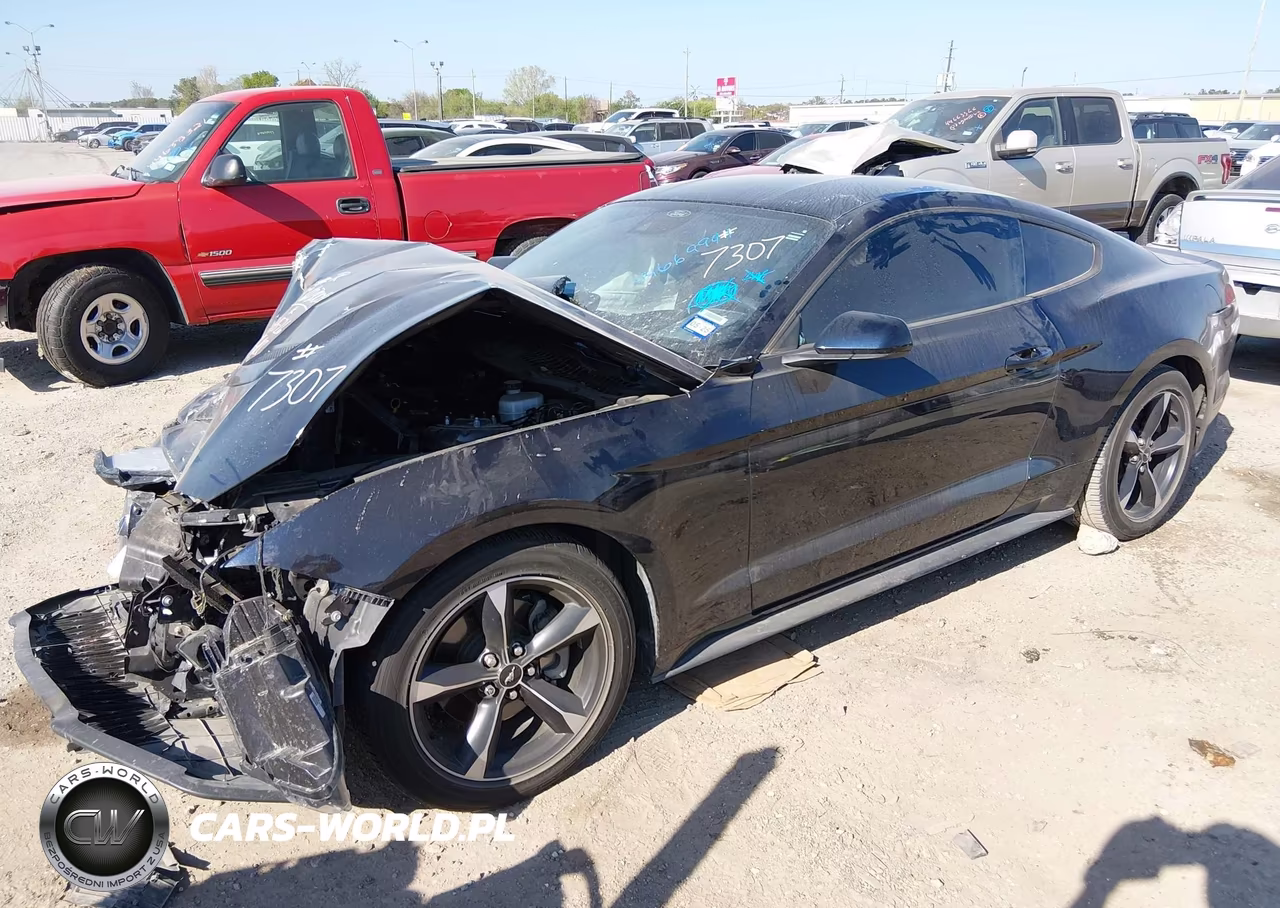 2021 Ford Mustang Ecoboost Fastback VIN:1FA6P8TH6M5127307 - 2