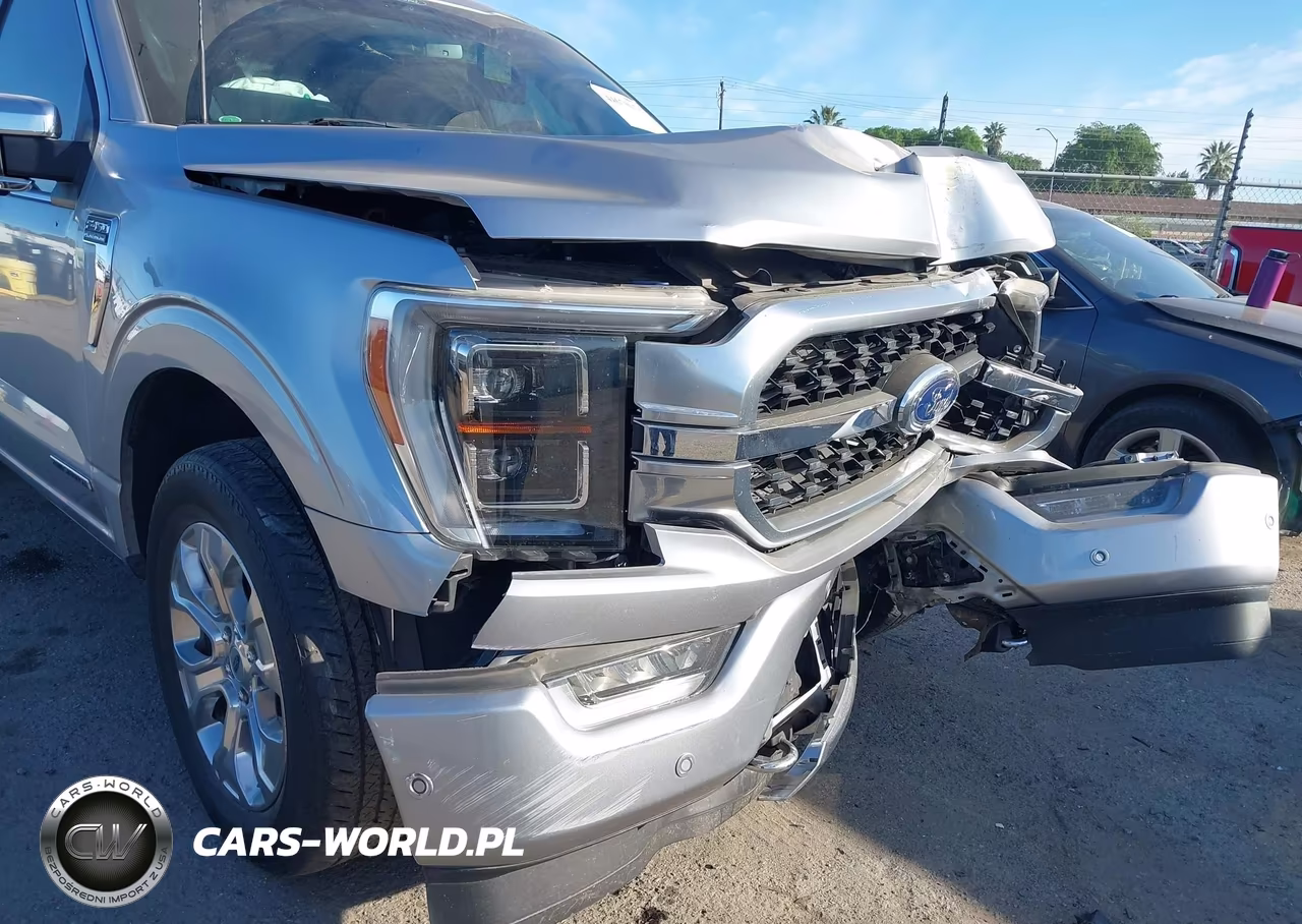 2022 Ford F-150 Platinum VIN:1FTFW1ED5NFB75309 - 17