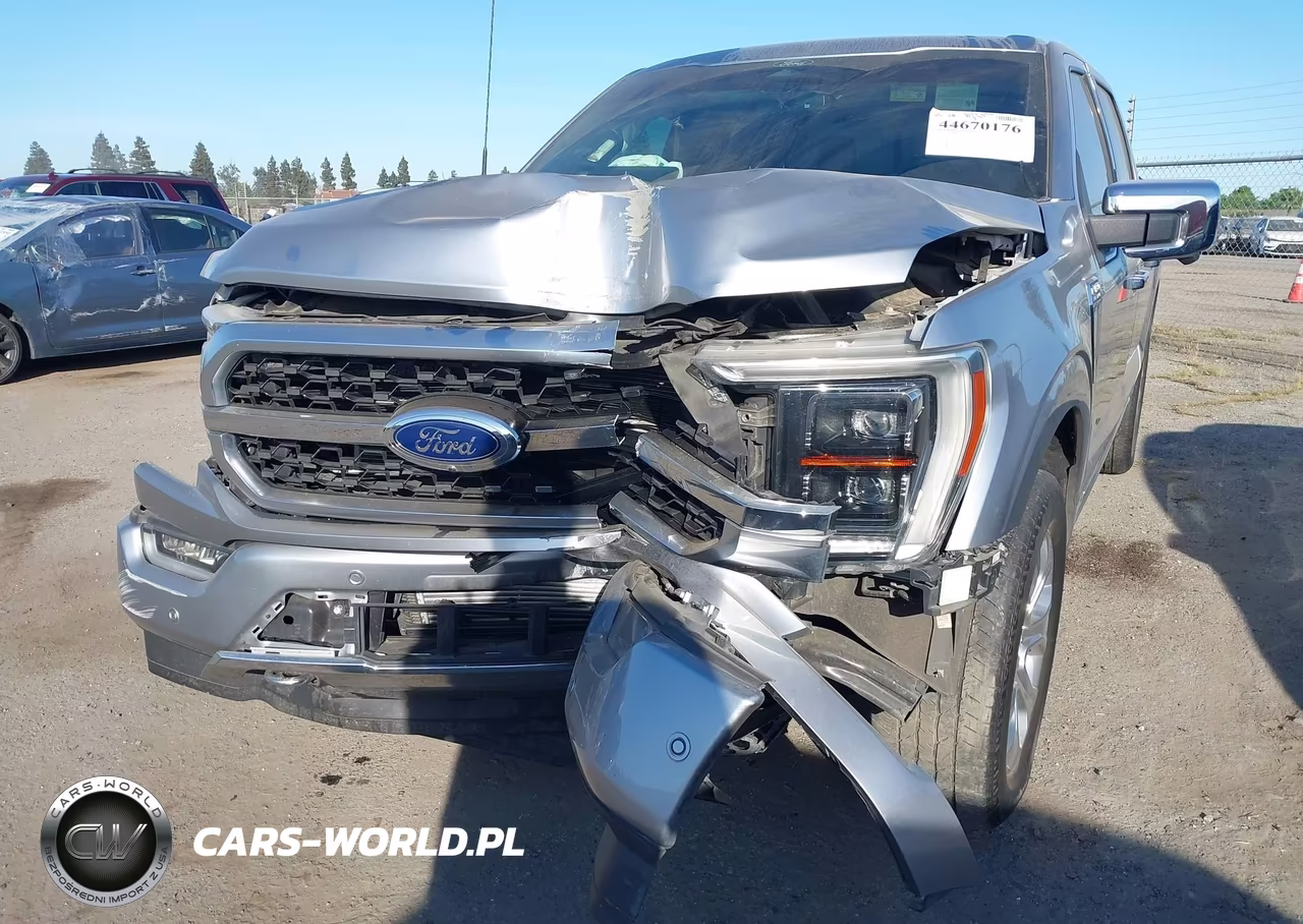 2022 Ford F-150 Platinum VIN:1FTFW1ED5NFB75309 - 6