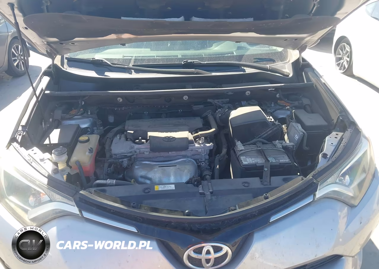2016 Toyota Rav4 Xle VIN:2T3WFREV6GW307664 - 10