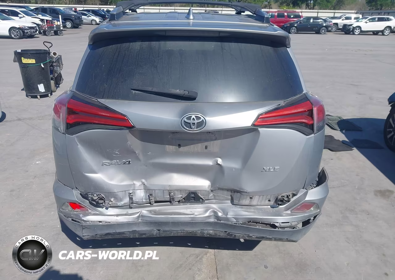 2016 Toyota Rav4 Xle VIN:2T3WFREV6GW307664 - 16