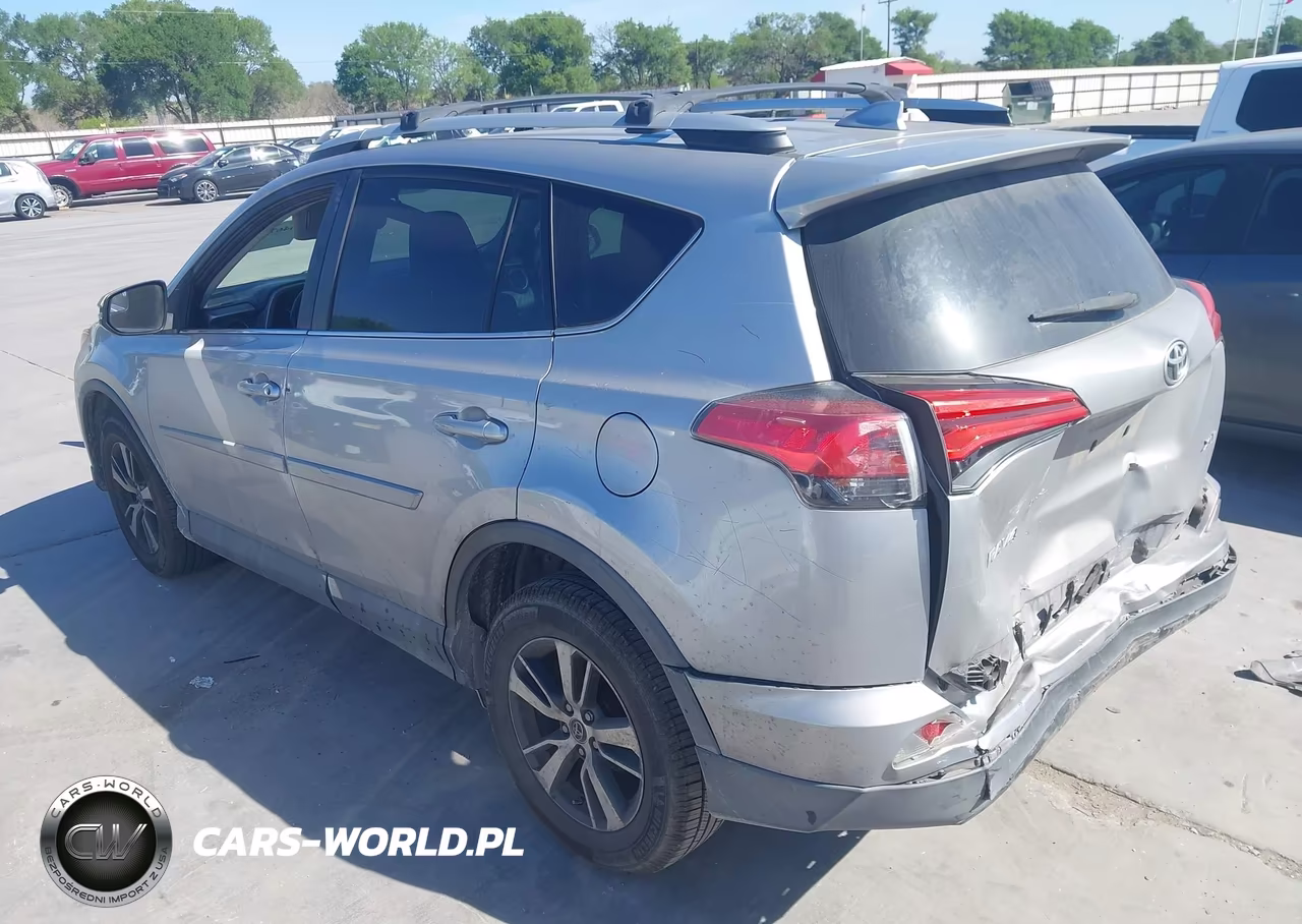 2016 Toyota Rav4 Xle VIN:2T3WFREV6GW307664 - 3
