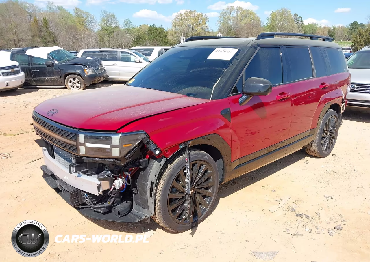 2024 Hyundai Santa Fe Calligraphy VIN:5NMP5DGL4RH032325 - 2