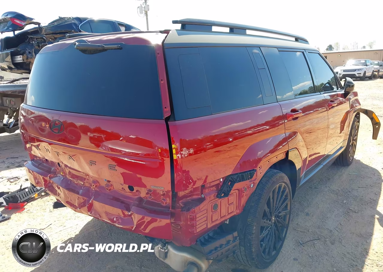 2024 Hyundai Santa Fe Calligraphy VIN:5NMP5DGL4RH032325 - 4