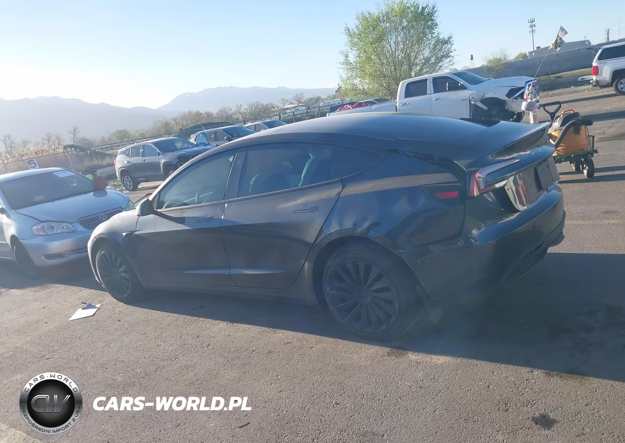 2025 Tesla Model 3 Long Range Rear-Wheel Drive-Standard Rear-Wheel Drive VIN:5YJ3E1EA7SF925644 - 13