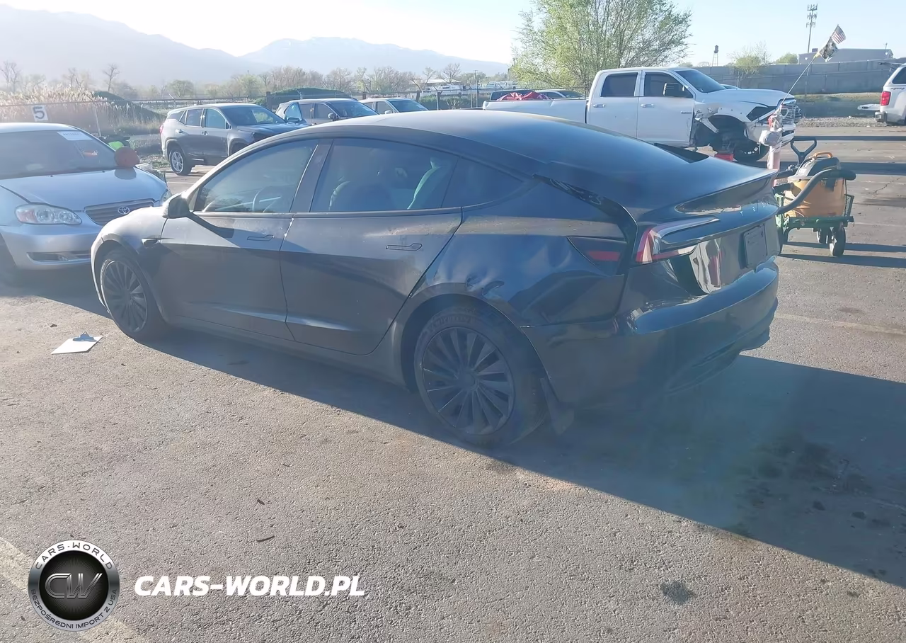 2025 Tesla Model 3 Long Range Rear-Wheel Drive-Standard Rear-Wheel Drive VIN:5YJ3E1EA7SF925644 - 3