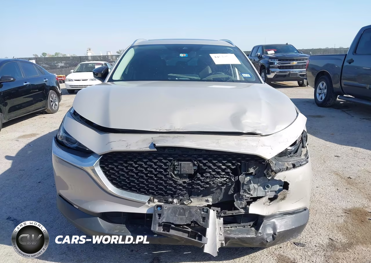 2022 Mazda Cx-30 2.5 Turbo Premium VIN:3MVDMBDY2NM459521 - 12