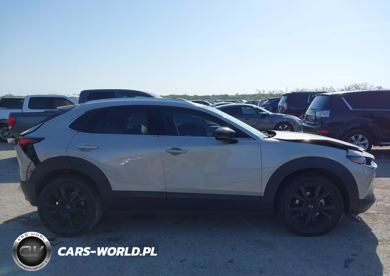 2022 Mazda Cx-30 2.5 Turbo Premium VIN:3MVDMBDY2NM459521 - 13