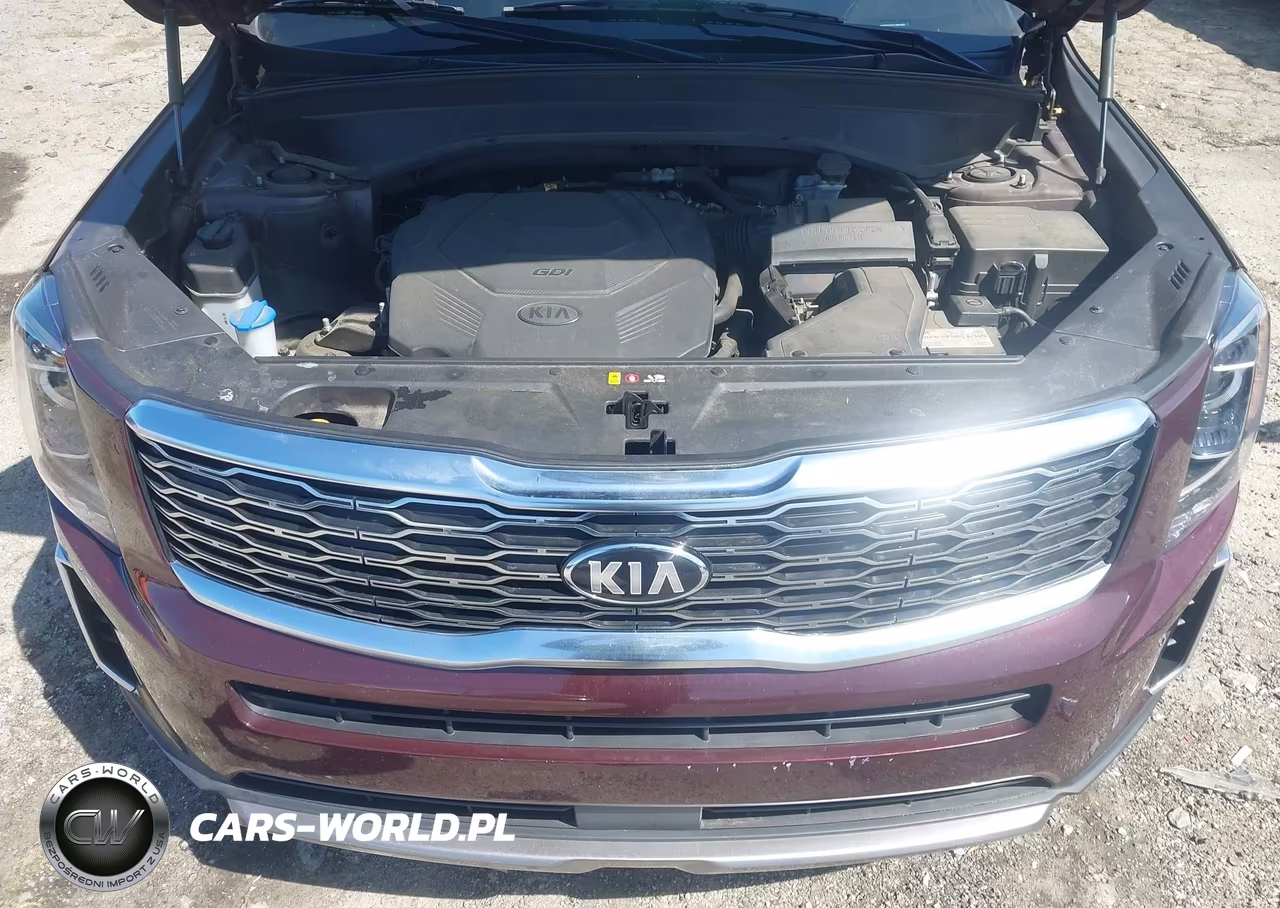 2020 Kia Telluride Ex VIN:5XYP34HCXLG001053 - 10