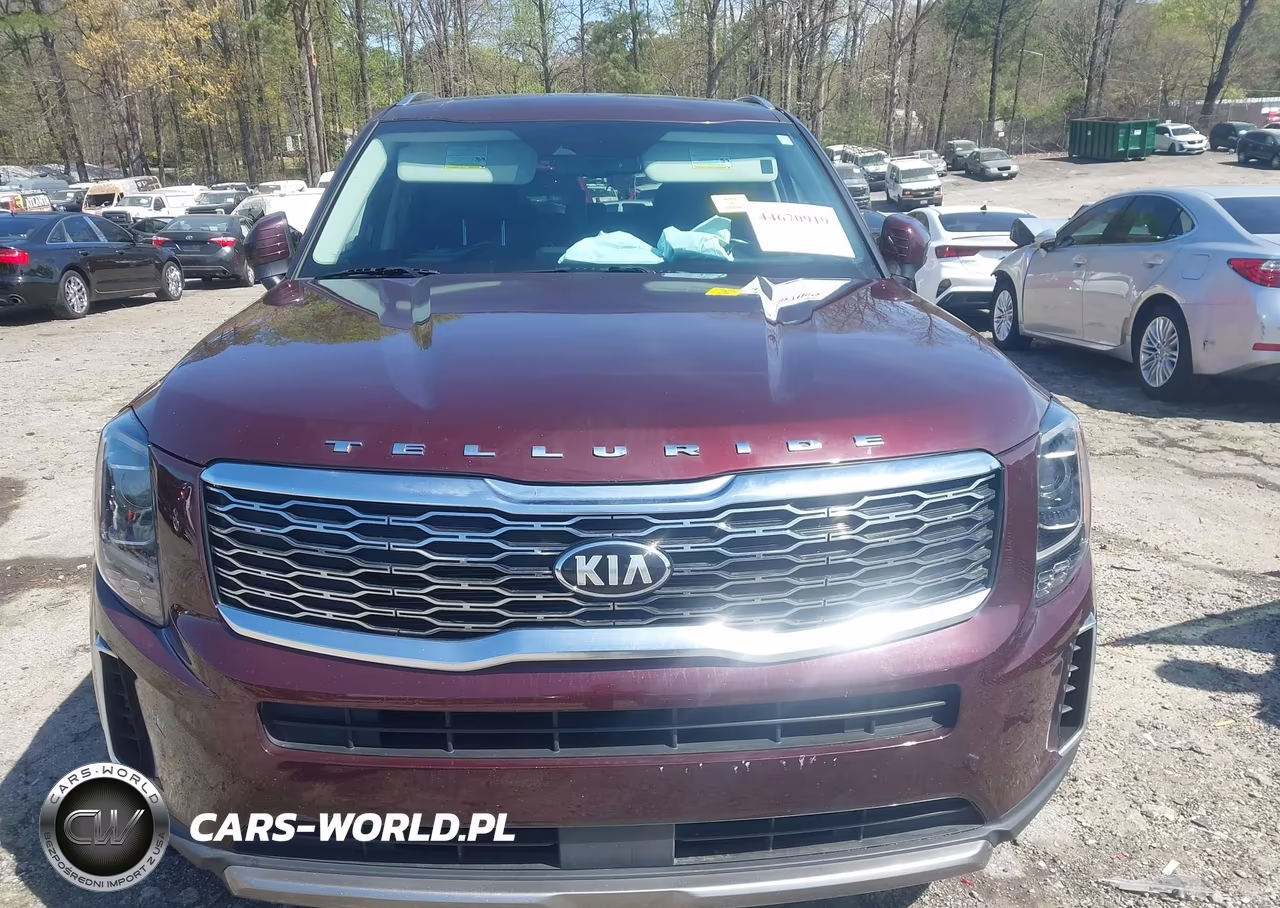 2020 Kia Telluride Ex VIN:5XYP34HCXLG001053 - 12
