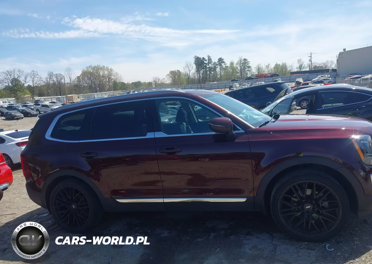 2020 Kia Telluride Ex VIN:5XYP34HCXLG001053 - 13