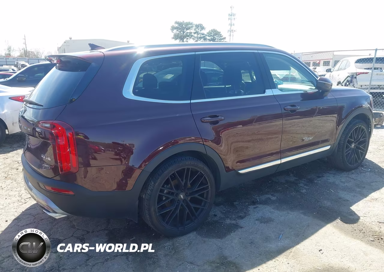 2020 Kia Telluride Ex VIN:5XYP34HCXLG001053 - 4