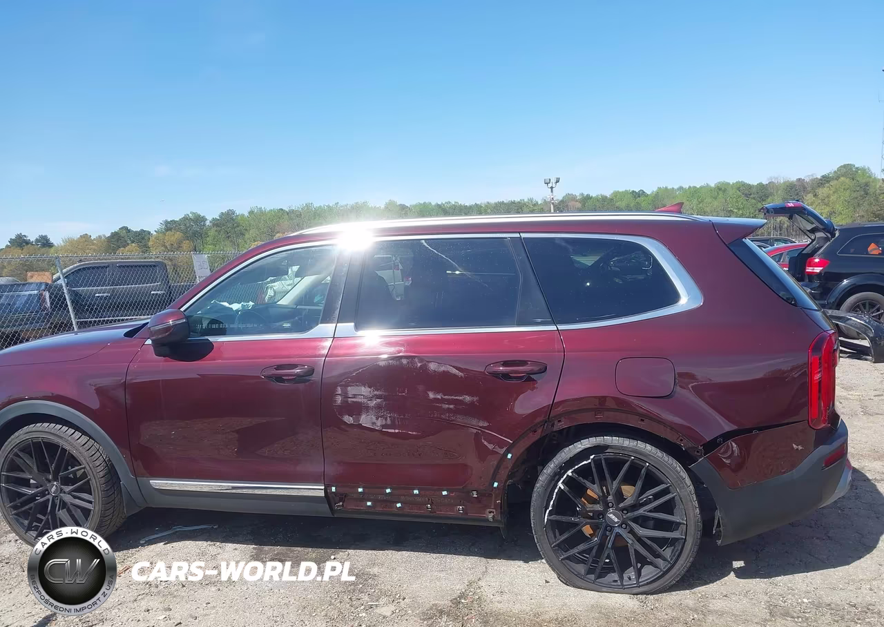 2020 Kia Telluride Ex VIN:5XYP34HCXLG001053 - 6