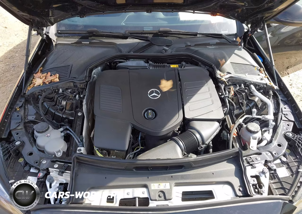 2024 Mercedes-Benz C 300 VIN:W1KAF4GB5RR225112 - 10
