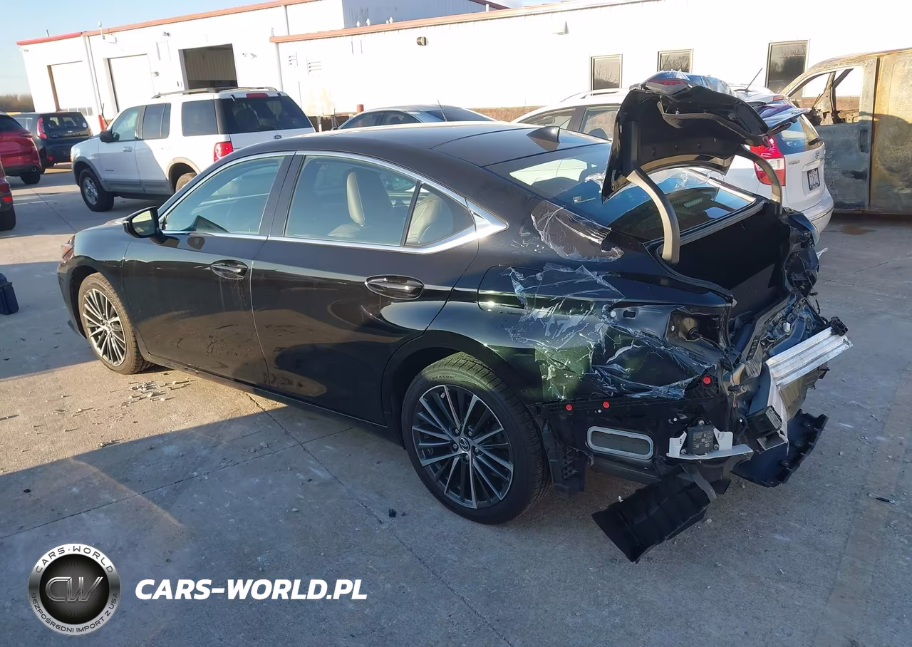 2022 Lexus Es 350 VIN:58ADZ1B14NU111836 - 18