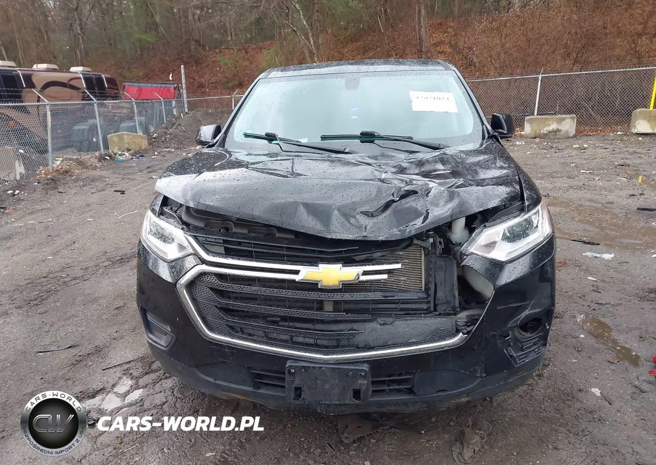 2019 Chevrolet Traverse Ls VIN:1GNEVFKW1KJ268121 - 6