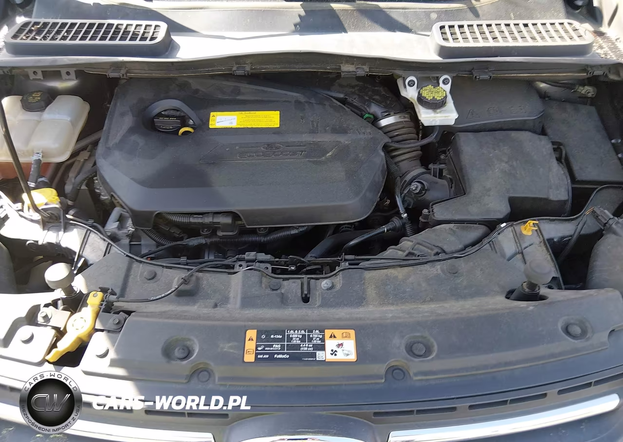 2016 Ford Escape Se VIN:1FMCU0GX2GUB51893 - 10