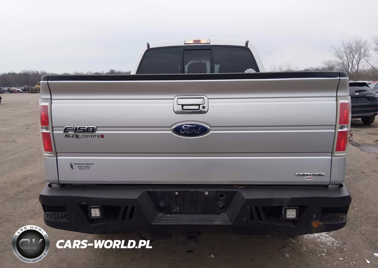 2011 Ford F-150 Xlt VIN:1FTFX1EF2BFA58667 - 16