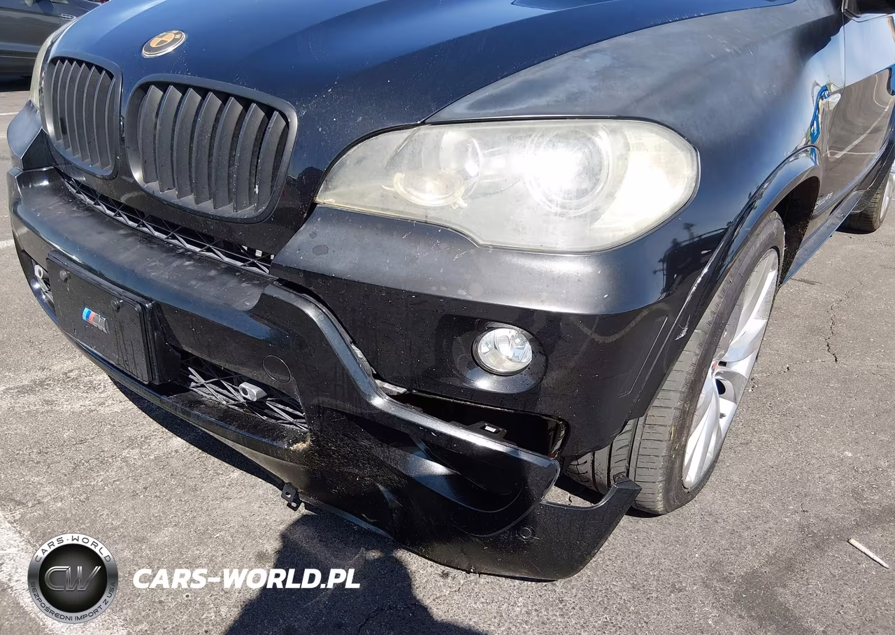 2010 BMW X5 xDrive48I VIN:5UXFE8C58AL311935 - 6